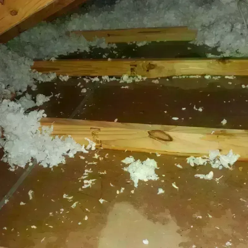 Attic Water Damage in Pinewood, FL