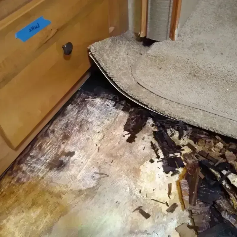 Wood Floor Water Damage in Pinewood, FL